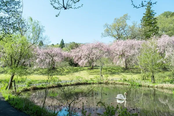 佐倉市 DIC 川村紀念美術館