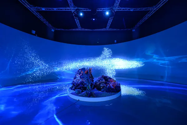 海.jpg