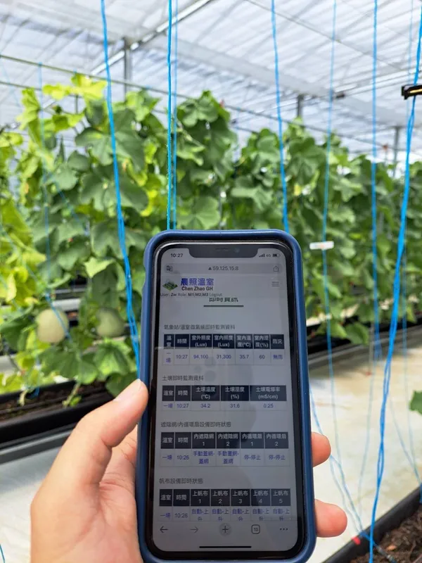 5 圖說-農民可以利用手機從遠端接收溫室環境 數據，並操作溫室各項設施開關。 (圖片提供_晨照溫室農