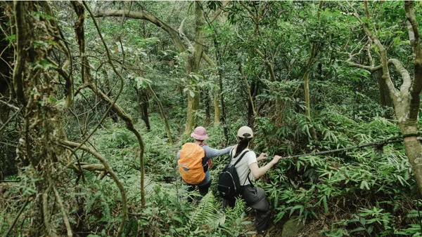 8 條獨家旅行路線！老爺酒店推出「老爺式行旅」：融合潛水課、獵人體驗，邀請旅人跨出舒適圈