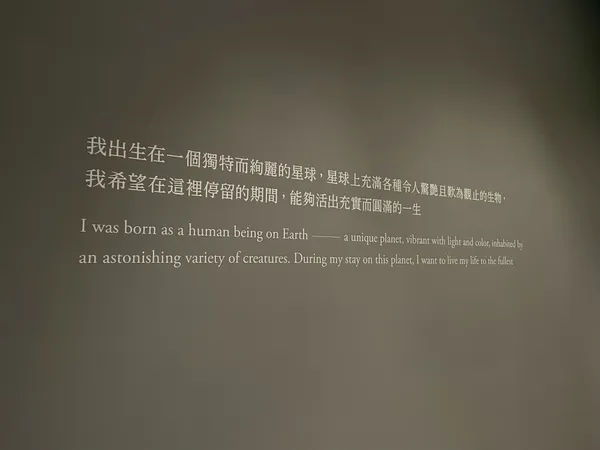 富邦美術館 新宮晉 開展