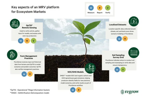 Regrow_KeyAspects_of_MRV.png