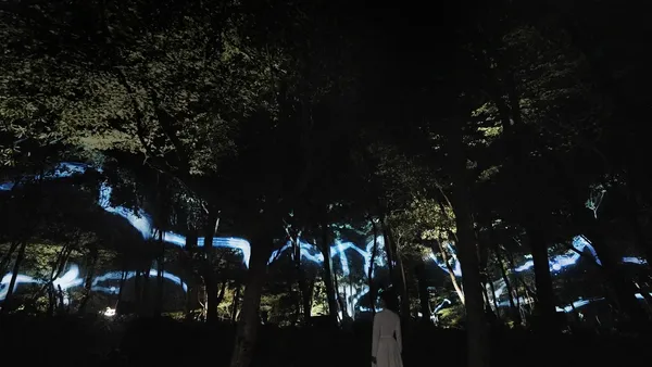 teamLab 新作「幽谷隱田跡」