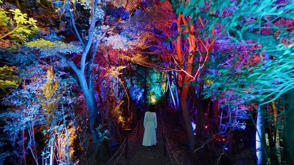 teamLab 新作「幽谷隱田跡」