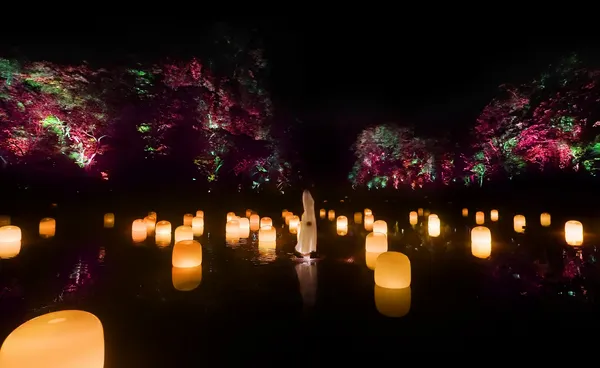 teamLab 新作「幽谷隱田跡」