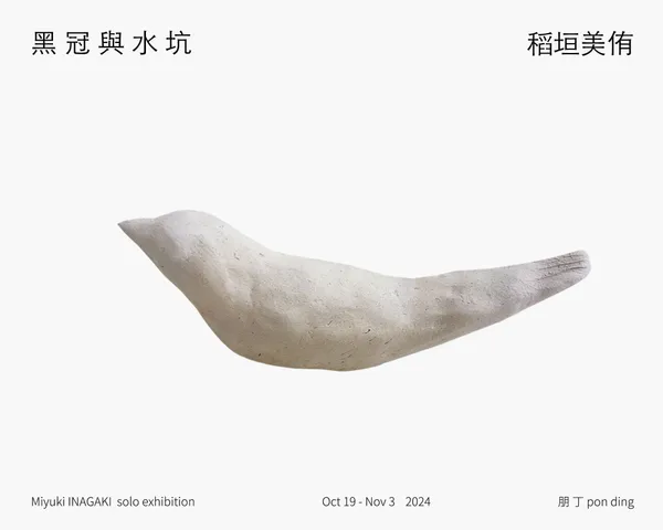 《黑冠與水坑》