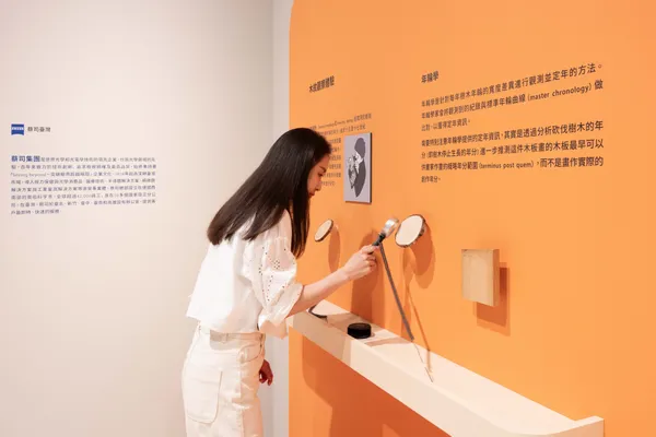 奇美博物館特展《畫師們》，單元三「有哪些作品主題？」，「木紋觀察體驗區」提供放大鏡，可以審視木材年輪