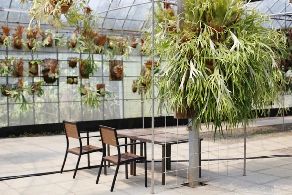 2024 大型植物展覽市集
