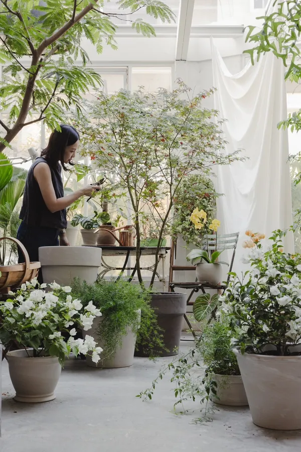 2024 大型植物展覽市集