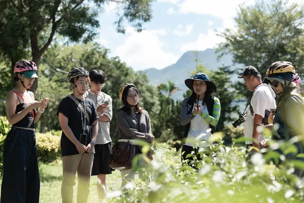 台東紅烏龍小旅行