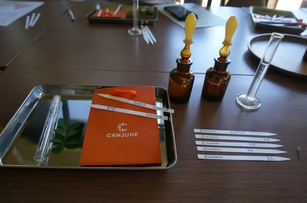 台東紅烏龍小旅行