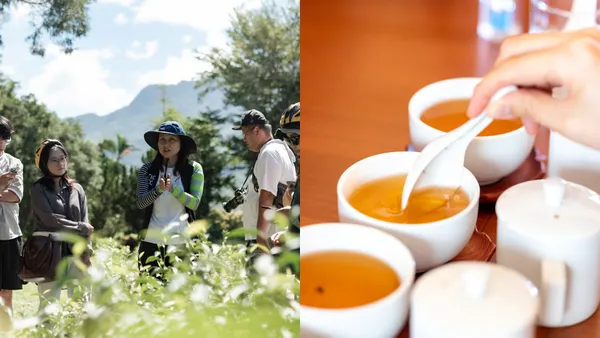 漫步台東鹿野！以「紅烏龍」為題：走訪 6 個風格品牌，體驗茶園品茗、手作香氛等五感之旅
