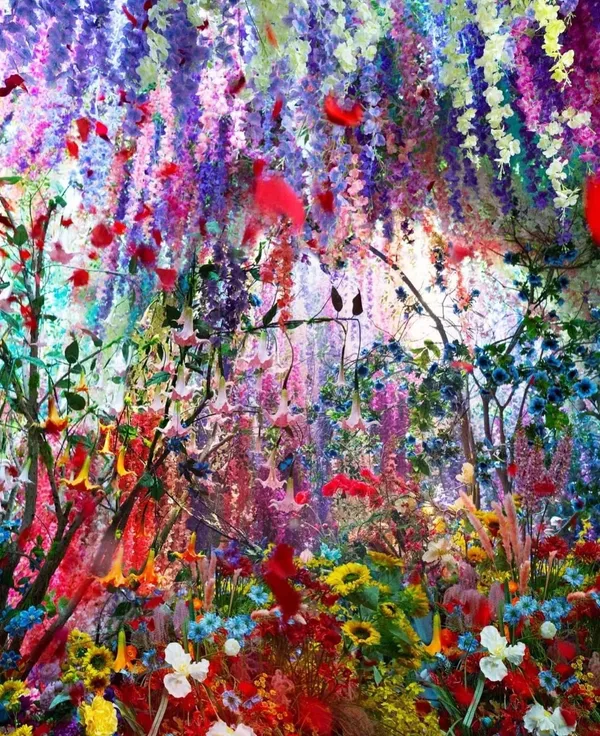 蜷川實花關西最大規模個展