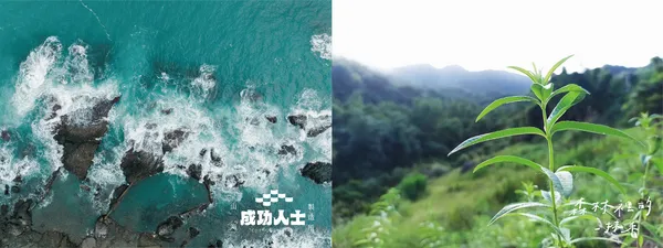 慢東商號_11