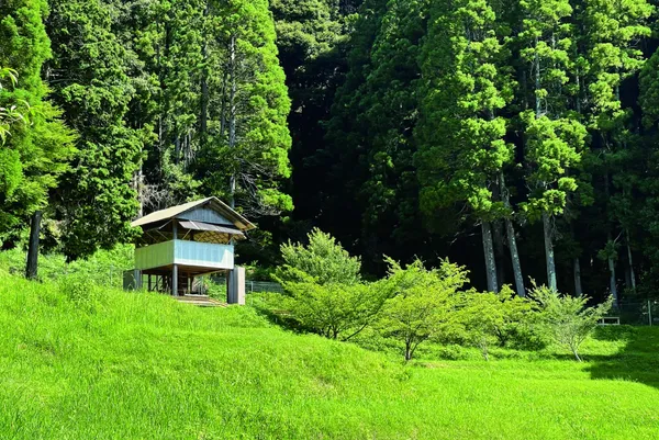 跟著MUJI去旅行