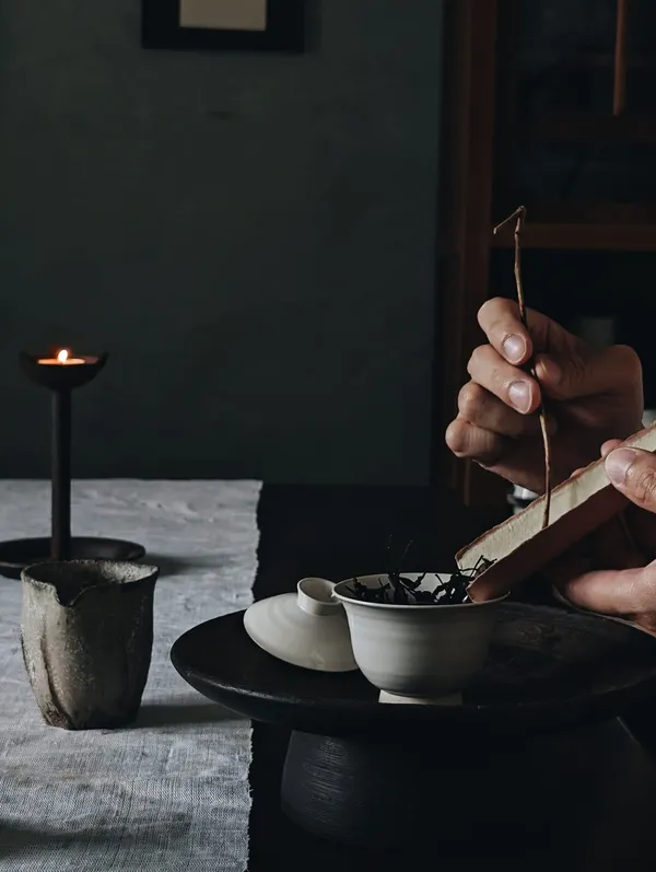 「發現．山茶」