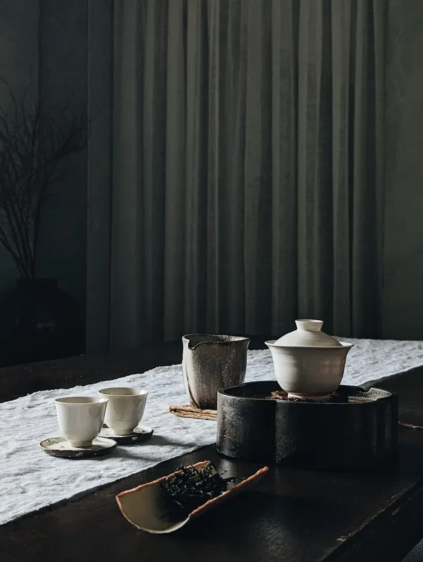 「發現．山茶」