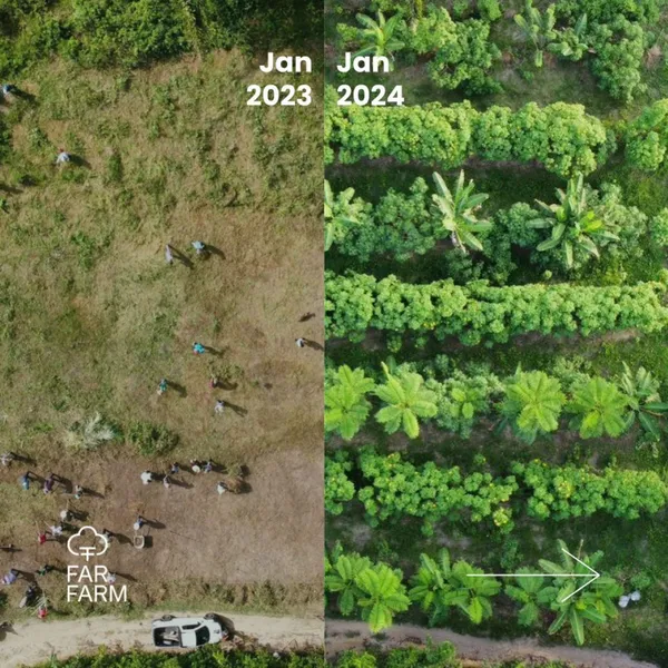 FarFarm農林業計畫