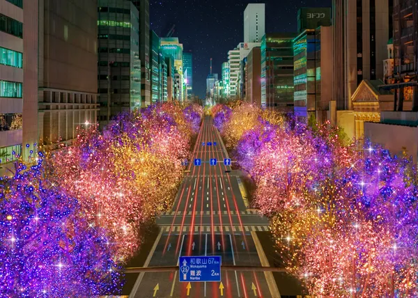 2024 大阪光之饗宴5.jpg
