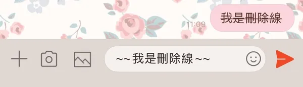 刪除線.jpg