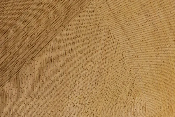 日本首座竹建材防災中心