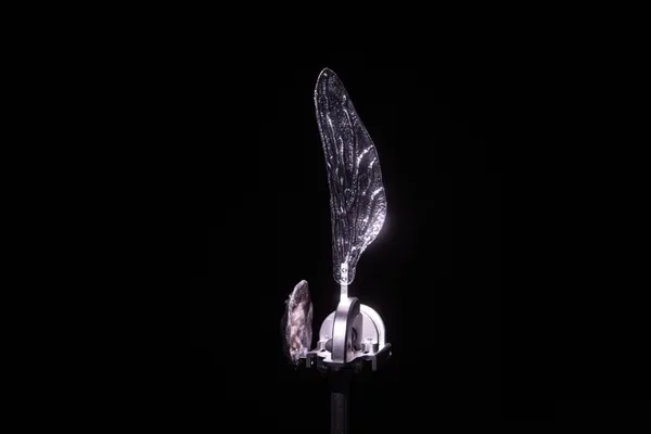 北美館《洄鳴》