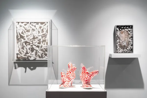 北師美術館 草間彌生展
