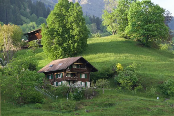 feature picture