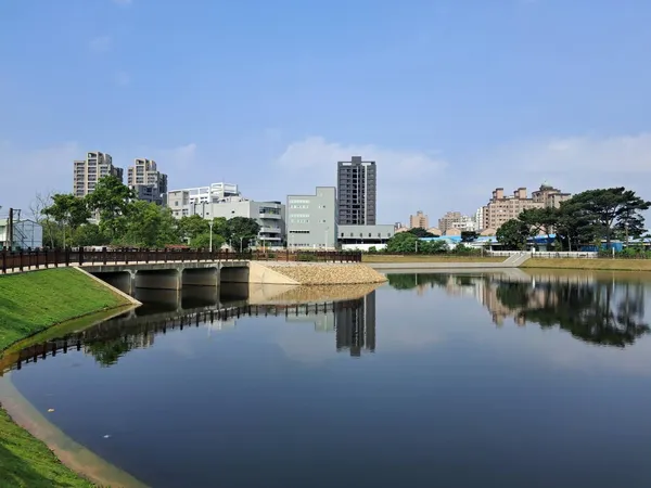 桃園大樹林滯洪池「水の秘密基地」