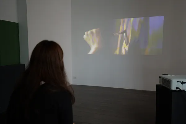 ViewSonic ColorPro Awards 國際視覺藝術創作暨攝影展_14