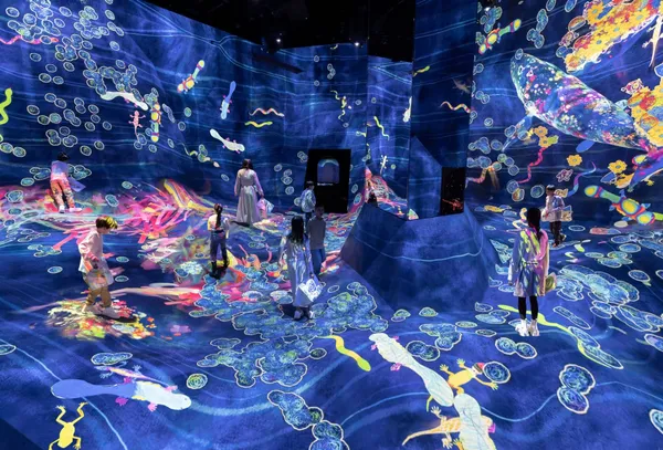「teamLab Planets」空間擴大