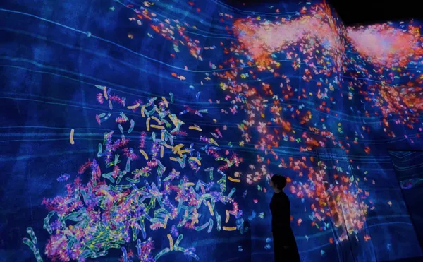 「teamLab Planets」空間擴大