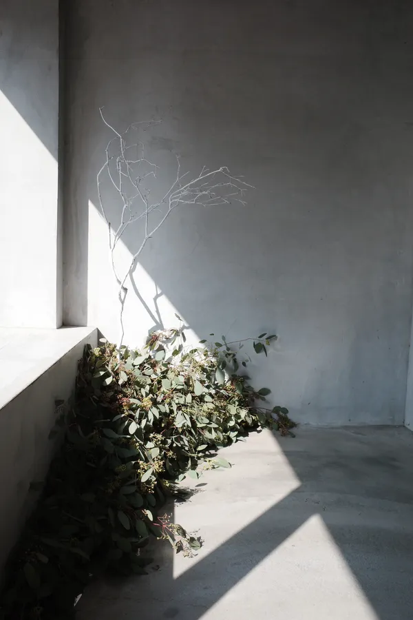 LE LABO 新香「桉樹 20」