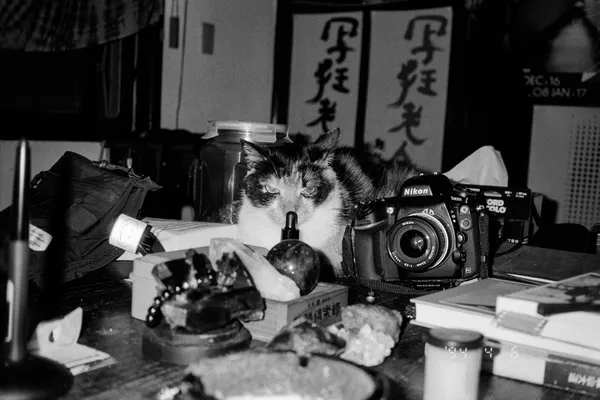 ART TAIWAN｜SKM PHOTO 攝影藝術博覽會_謝昕妮_黃俊團_06