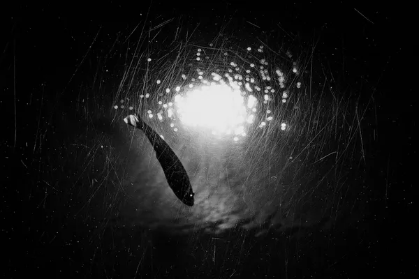 ART TAIWAN｜SKM PHOTO 攝影藝術博覽會_廖文瑄、余梓勤_05