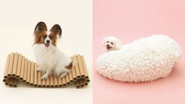 寵物的家可以長這樣！「Architecture for DOGS」集結隈研吾、坂茂等 18 位建築大師共同打造