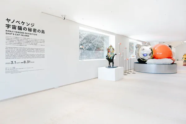宮澤湖上現身巨型船仔貓