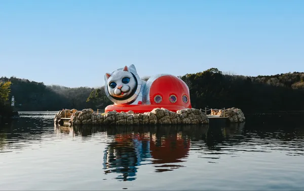 宮澤湖上現身巨型船仔貓