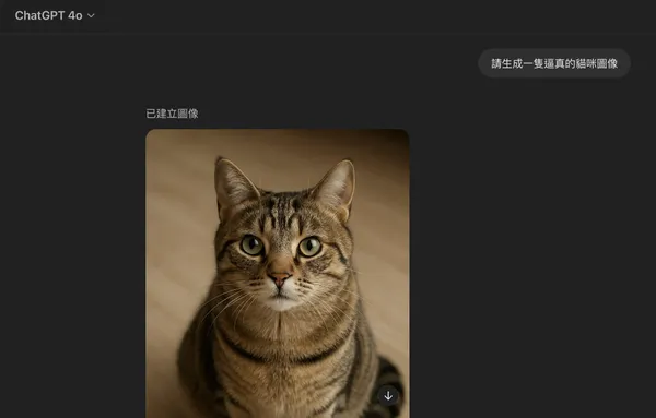 GPT貓咪.jpg