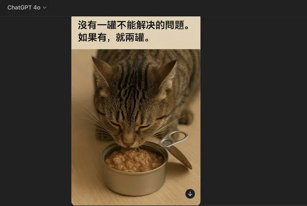 4o貓罐頭.jpg