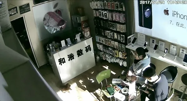 北美館「時代劇場：當代影像的複數演繹」