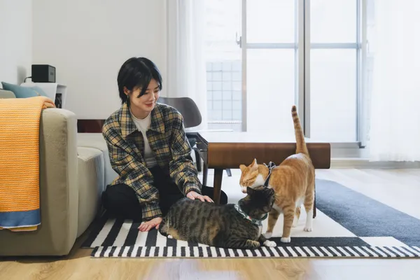 Misc 與貓貓子子、杉山