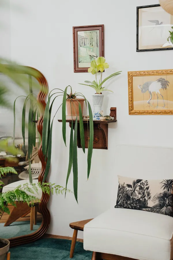 植物的療癒魔法！以綠意創造生活中的呼吸與喘息——探訪植物風格師 Yuty 的山居住所
