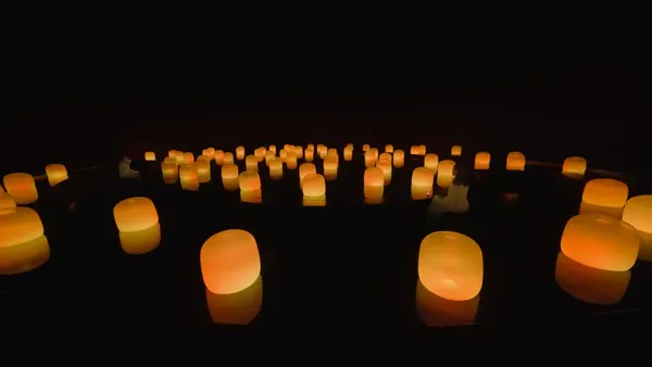 teamLab Phenomena