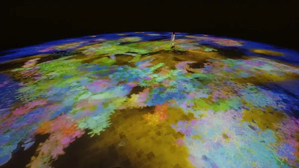 teamLab Phenomena