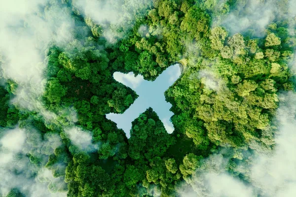 飛機照片.jpg
