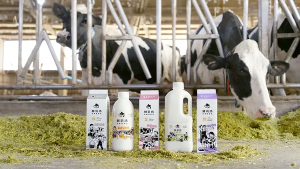 鮮乳坊十週年新裝登場！攜手插畫家良根以包裝設計呈現「人味」，述說溫暖寫實的土地故事