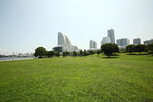 SEASIDE CINEMA 2025
