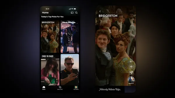 netflix tiktok.jpg