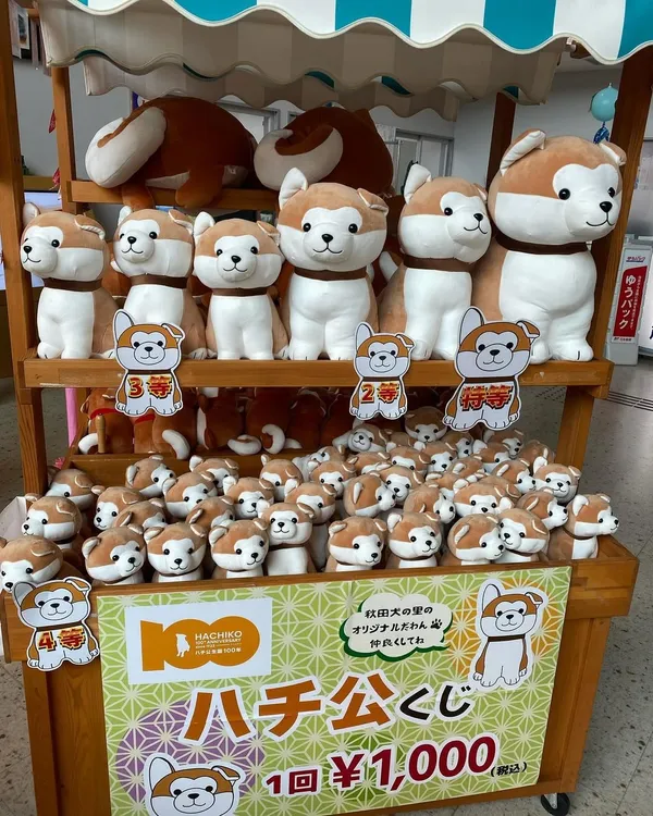 大館市打造「秋田犬之鄉」